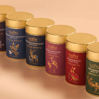 Colorful spice tin packaging lineup